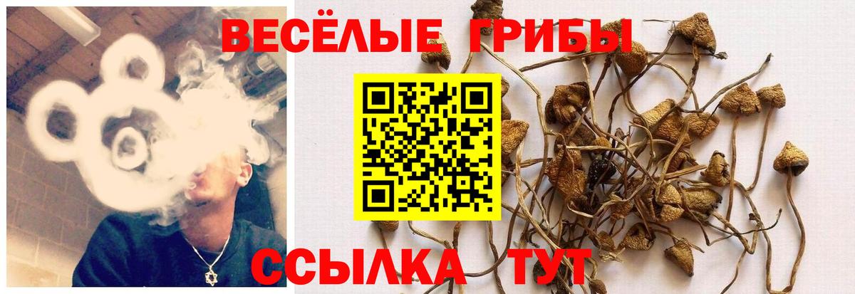 Псилоцибиновые грибы MAGIC MUSHROOMS  Вход с VPN  Еманжелинск 